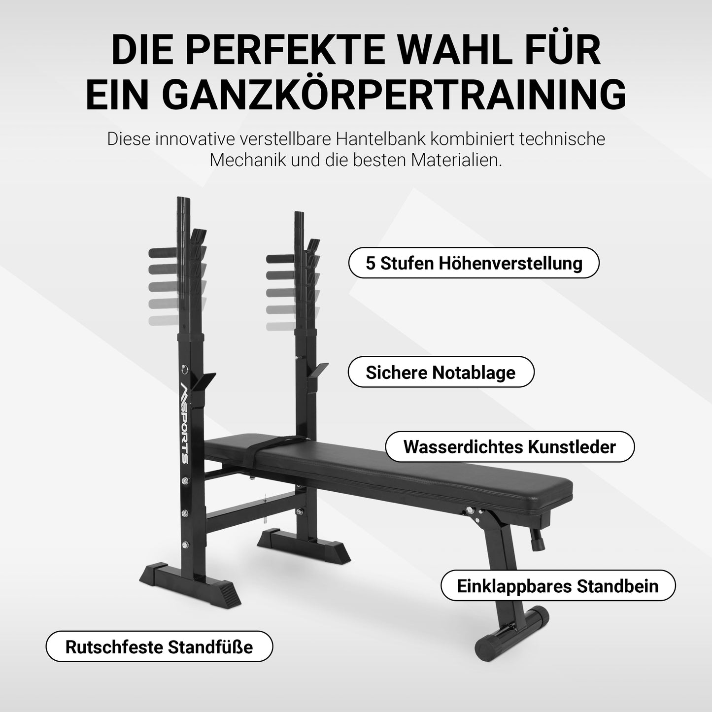 Hantelbank Professional