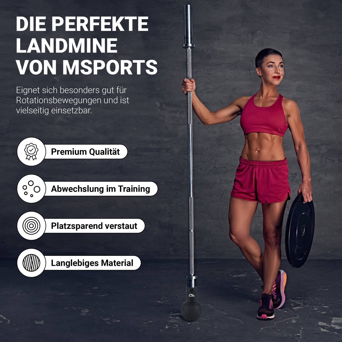 Landmine Premium