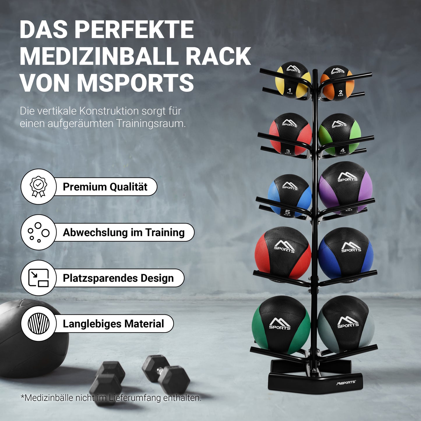 Medizinball Rack