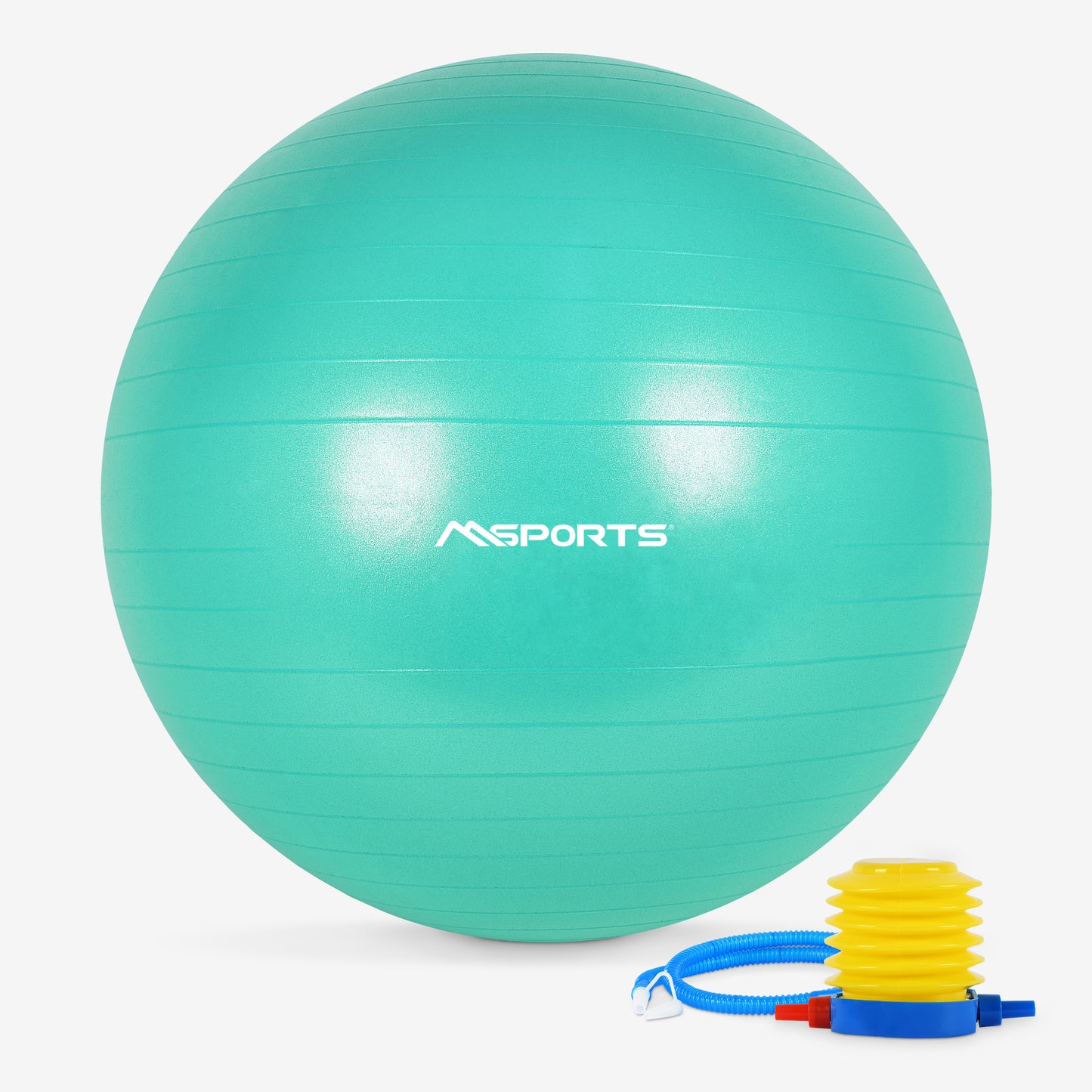 Gymnastikball Premium