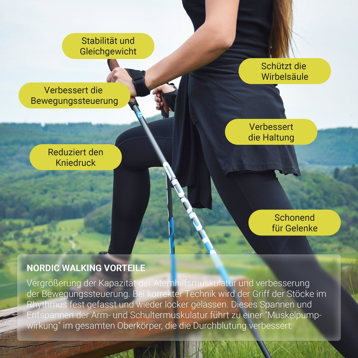 Nordic Walking Stöcke Premium