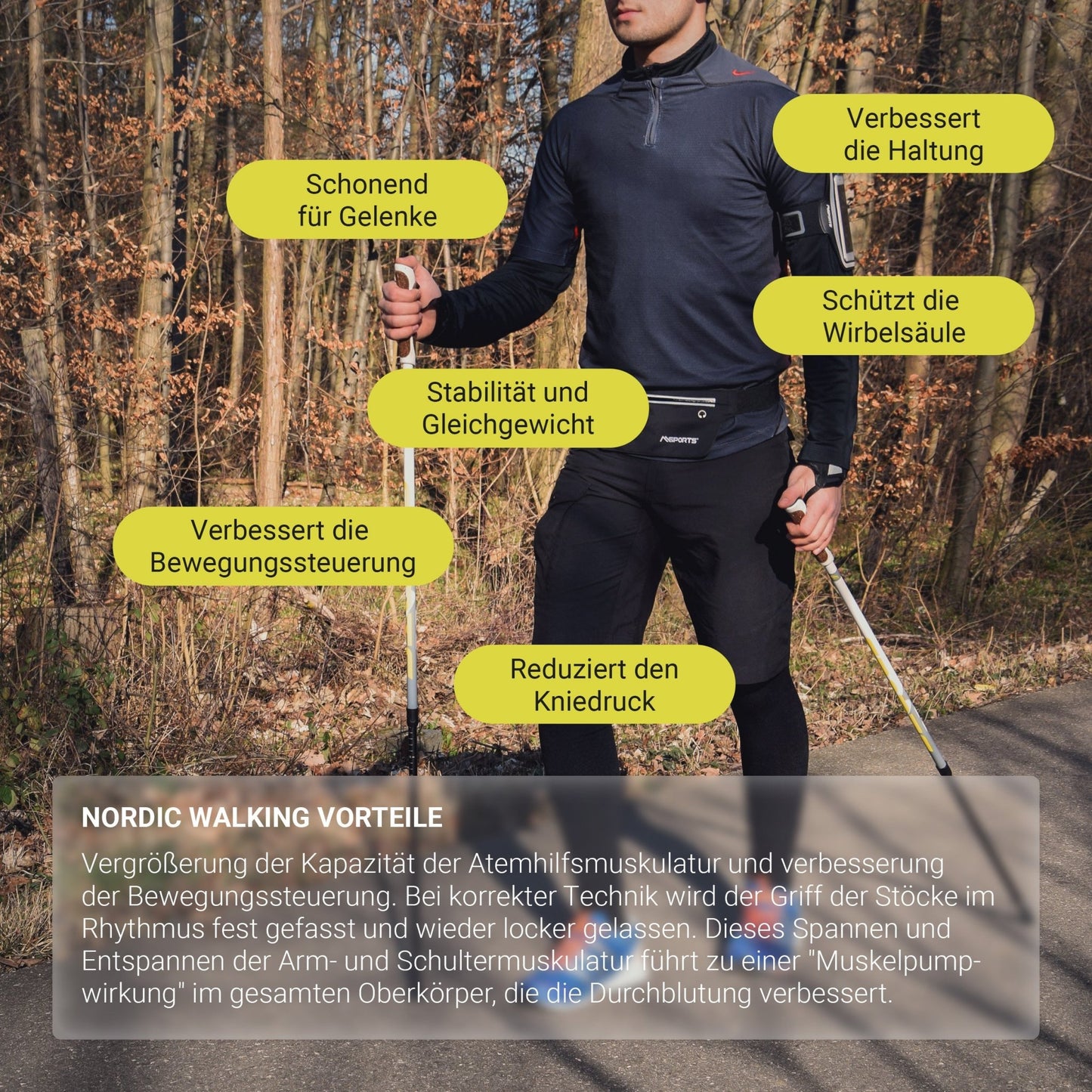 Nordic Walking Stöcke Premium