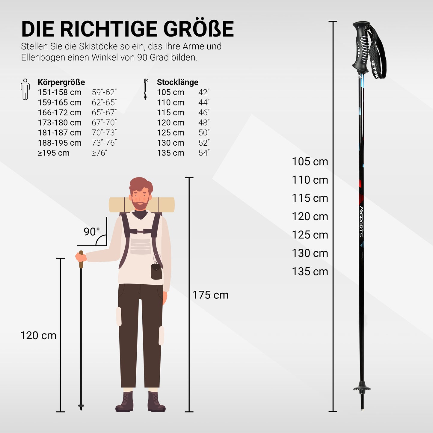 Skistöcke Premium
