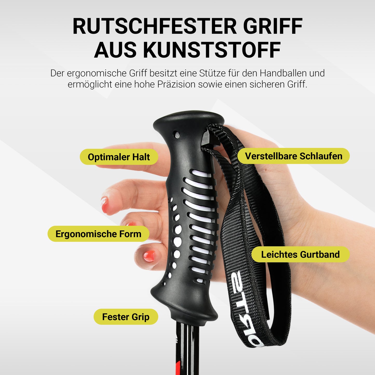 Skistöcke Premium