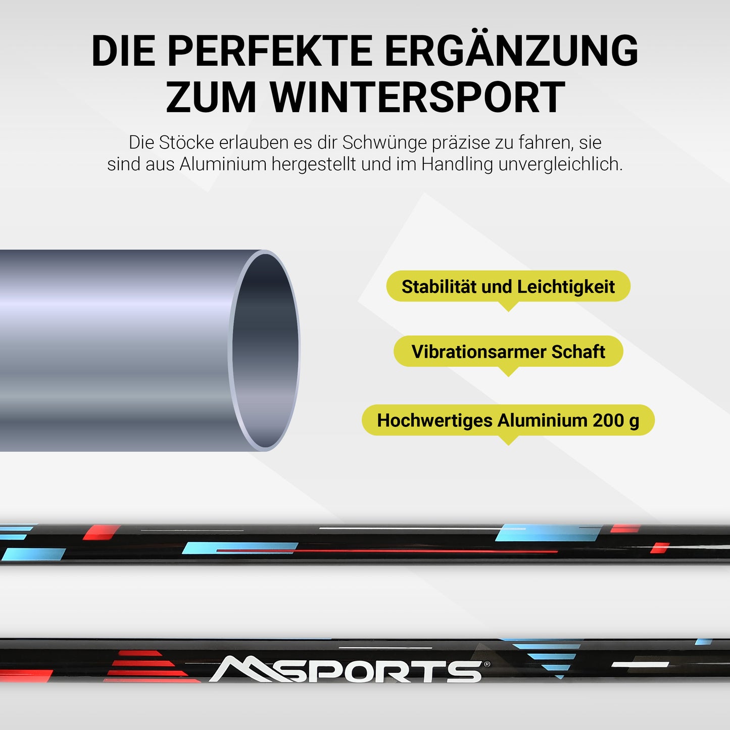 Skistöcke Premium