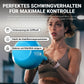 Kettlebell Competition