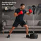 Punchingball Premium