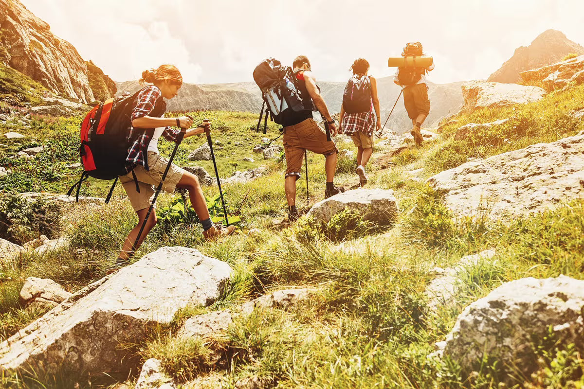 Unsere Reise begann in 2016