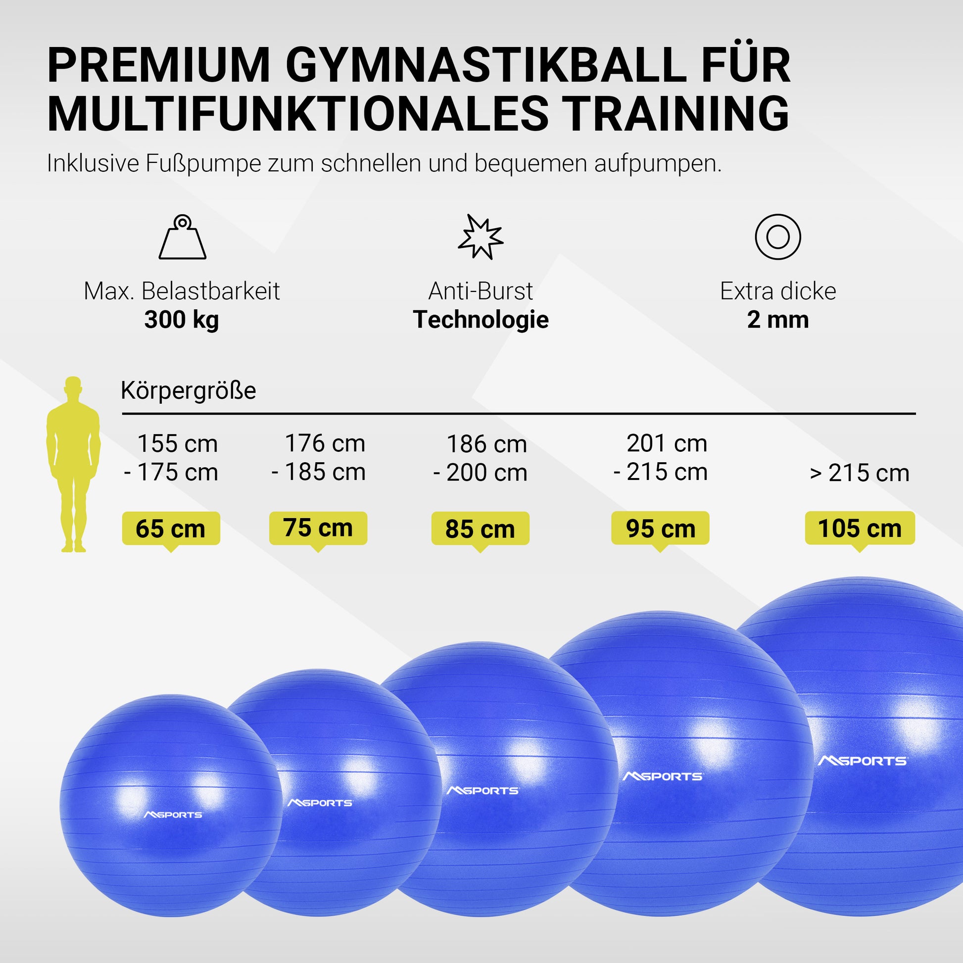 Gymnastikball inkl. elektrischer Pumpe!, € 10,- (5730 Mittersill