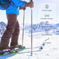 Skistöcke Premium